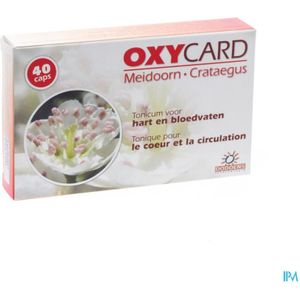 Oxycard Meidoorn Extr Gel 40x300mg