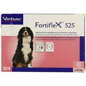Fortiflex 525 3x10 Tabletten