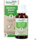 Fytotherapie - Amandelboom - Ondersteunt Bloedsomloop en Nieren