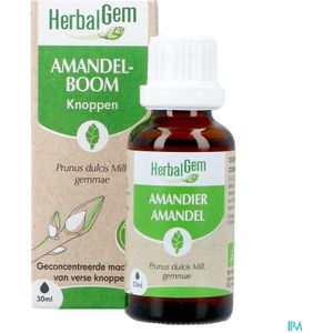 Fytotherapie - Amandelboom - Ondersteunt Bloedsomloop en Nieren
