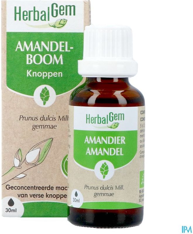 Fytotherapie - Amandelboom - Ondersteunt Bloedsomloop en Nieren