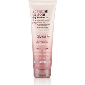Giovanni Cosmetics - 2chic - Frizz Be Gone Shampoo - 250 ml - Kleurveilig - Parabenenvrij