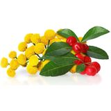 2chic - Clarifying & Calming Conditioner - Kleurveilig - Veganistisch - 355ml