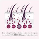 Viviscal - Max Strength Set - Haargroeimiddelen - 3 Maanden