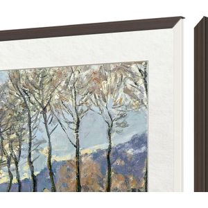 TCL Frame Black 65 inch