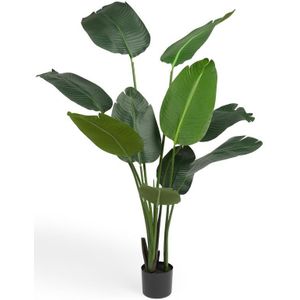Lifa Living kunstplant Strelitzia