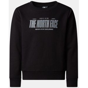 The North Face - Reflective Logo - Trui - Kinderen - Jongens