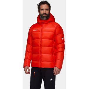 Mammut Taiss Pro Hooded Donsjas - Heren