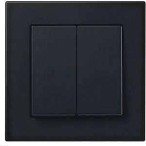 Jung Friends Of Hue Switch Draadloze Schakelaar Set Zwart