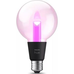 Philips Hue Lightguide E27 G95 Globe | Werkt met Apple HomeKit | Slimme lamp
