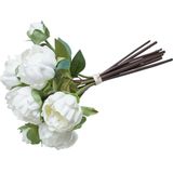 Sierboeket Zephyrel