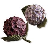 Sierbloem set van 2 Hortensie