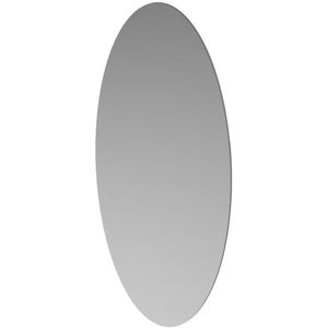 Spiegel ink sp16 ovaal op aluminium kader 30x3x60 cm