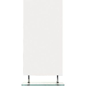 Badkamerspiegel sapho wega 40x80 cm met planchet glas