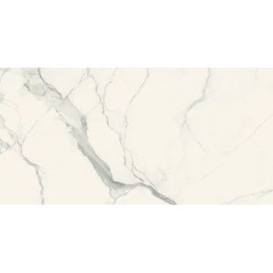 Vloertegel douglas & jones magnum 60x120 cm marmerlook 6 mm geglazuurd statuario sat