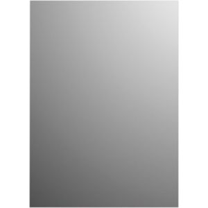 Spiegel basic plieger rechthoekig 4mm 45x30 cm zilver