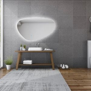 Spiegel gliss design trendy oval led verlichting 60 cm