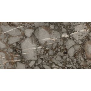 Vloertegel douglas & jones magnum 60x120 cm marmerlook gerectificeerd 6 mm gepolijst riverbed