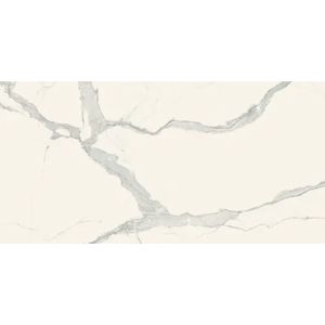 Vloertegel douglas & jones magnum 60x120 cm marmerlook gerectificeerd 6 mm geglazuurd statuario