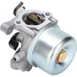 Garden Carburetor Replacement Fit for Briggs & Stratton 790845 799871 799866 796707 794304