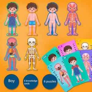 Houten Body Puzzels Structuur Cognitieve Puzzel Educatief Speelgoed Voor Kinderen Interactief Speelgoed Biologische Menselijk Lichaam Matching Game