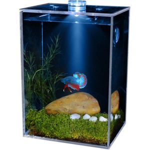 Kleine Ultra-Transparante Clear Fish Bowls Vierkante Led Aquarium Aquarium Led Heater Met Landschapsarchitectuur Imitatie Water Plant
