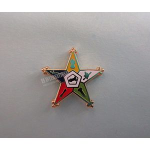 Vrijmetselaars Reversspeldjes Badge Mason Vrijmetselaar MLP32 volgorde van eastern star maat 1.4cm