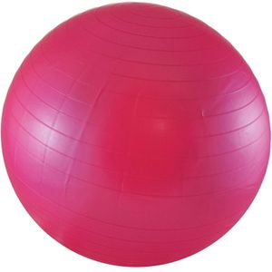 Balanceren Stabiliteit Bal Voor Yoga Pilates Anti-Burst + Luchtpomp Roze 45 Cm