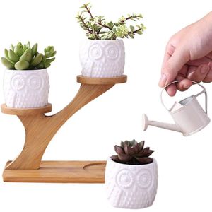 Succulent Pot Mini Cactus Pot Bureau Tuin Houten Standhouder 3 Tier Witte Keramische Vaas Home Office Plant Tuin Potten