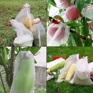 50 Pcs Netting Tassen Tuin Fruit Barrière Cover Tassen Voor Druif Fig Bloem Zaad Groente Bescherming Van Insect Mosquito Tas