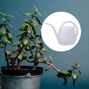 Tuin gieters 4L Grote Capaciteit Gieter met Lange Uitloop Gieter Afneembare Sproeikop voor Outdoor Indoor Tuinplanten Waterkan Moderne plantengieter