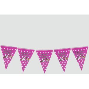 10'lu Welkom Mijn Baby Streamer Kleur: Roze Eenheid: 1 Pcs