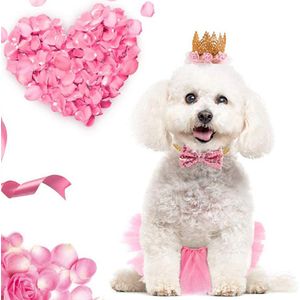 Met Vlinderdas Kostuum Puppy Kraag Kroon Hoed Mode Tutu Rok Feestartikelen Hoofdtooi Bruiloft Accessoires Hond Verjaardag Set Kat