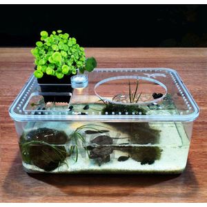 Hongyi 1 Stuk Plastic Transparante Insect Reptiel Fokkerij Voerbox Grote Capaciteit Aquarium Habitat Bad Schildpad Tank Platform