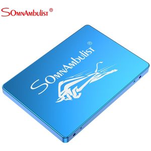 Somnambulist Metalen Stierenvechten Ssd Harde Schijf 2.5 SATA3 Ssd 120Gb Solid State Drive 240 Gb 480Gb Solid State drive 960Gb Intern