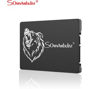 Somnambulist Ssd 120Gb 240Gb 60Gb 128Gb 256Gb 512Gb 480Gb 960Gb 360Gb 2.5 Inch 32Gb 16Gb 8Gb Interne Solid State Desktop Laptop