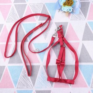 1Pc Papegaai Leash Nontoxic Duurzaam Portative Verstelbare Safe Soft Harnas Voor Huisdieren Vogels Papegaaien