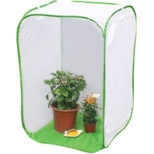 Insect Vlinder Kit Originele Habitat Life Science Onderwijs Vlinder Kit Opvouwbaar Insect Kooi Vlinder Tuin Cnt