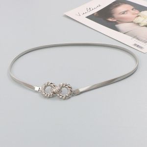 Metal Silver Gold Stretch Taille Ketting Met Decoratieve Rok Jeans Mode Riem Voor Vrouwen Corset Riem Party