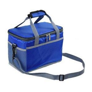 8L verdikking oxford koeltas thermische picknick lunchbox maaltijd dranken wijn geïsoleerde carrier cool tas ice pack thermo blikjes houder