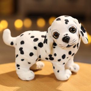 18Cm Schattige Kleine Pup Knuffel Levensechte Schattig Pet Beagle Bulldog Gevulde Doll Voor Kinderen Meisje Jongen