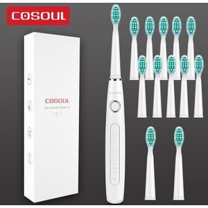 Professionele Sonic Elektrische Tandenborstel Oplaadbare Waterdicht Tandenborstel 11 Heads 5 Modi Beschermen Tanden