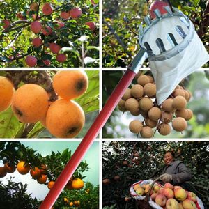 Hoogwaardige Metalen Tuingereedschap fruitplukker Handig Horticultural Fruit Picker Tuinieren Apple Perzik Picking Gereedschap