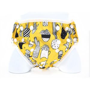 Gratis Baby Swim Luier Waterdichte Verstelbare Doek Luiers Zwembad Broek Zwemmen Luier Cover Herbruikbare Wasbare Baby Luiers