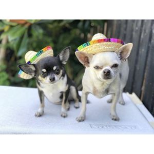 Zomer Leuke Huisdier Mini Stro Hoed Sombrero Hoed Mexicaanse Hoeden Decoratieve Party Hoed Voor Kat Hond Kleine Huisdieren Zon blok Uv Bescherming