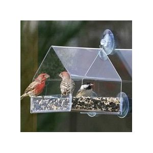 Papegaai Dwergpapegaai Canarische Volière Transparant Venster Outdoor Vogel Feeder Voor Vogels Voeden Container Voor Voedsel Duif Dierbenodigdheden