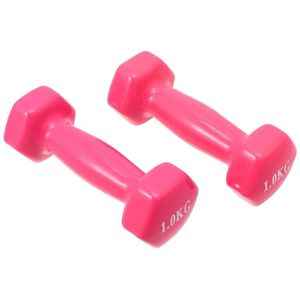 2 Stuks Plastic Dompelen Gietijzeren Halters Fitness Halters Hand Gewichten Fitness Apparatuur Gym Halter Voor Vrouwen Man (1kg Roze)