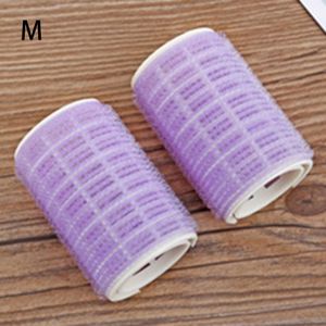 2 Stks/partij Haar Rollen Bang Roll Curler Haar Krultang Plastic Zelfklevende Haar Curling Kappers Gereedschap Meisje Schoonheid Styling tool