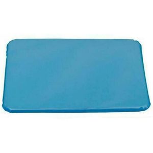 Slapen Pad Piillow Mat Cooling Gel Spier Opluchting Bed Stress Zomer Gekoeld Cooling Slapen Pad Piillow Natuurlijke Kussen & Jw