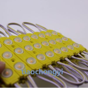 1.5W 2835 Rood Groen Bule Wit 160 Graden Led Module 3LED Licht Waterdichte 12 V